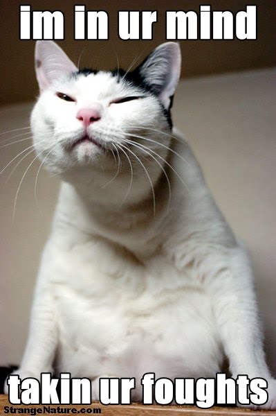 Let S Find Words That Start With The Letter M Seite 2