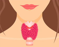 Thyroid Problems: What Adults over 50 Need to Know
