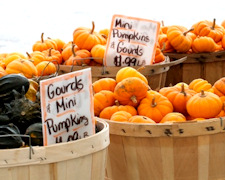 How to Shop Your Farmers Market