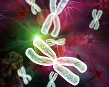 Cancer Causing Foods You Should Avoid